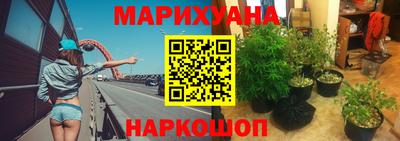 мяу мяу мука Гатчина