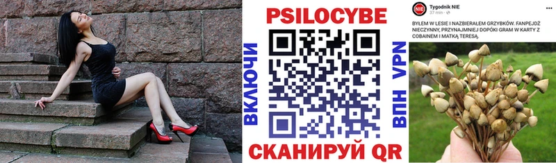 Псилоцибиновые грибы ЛСД Кашира
