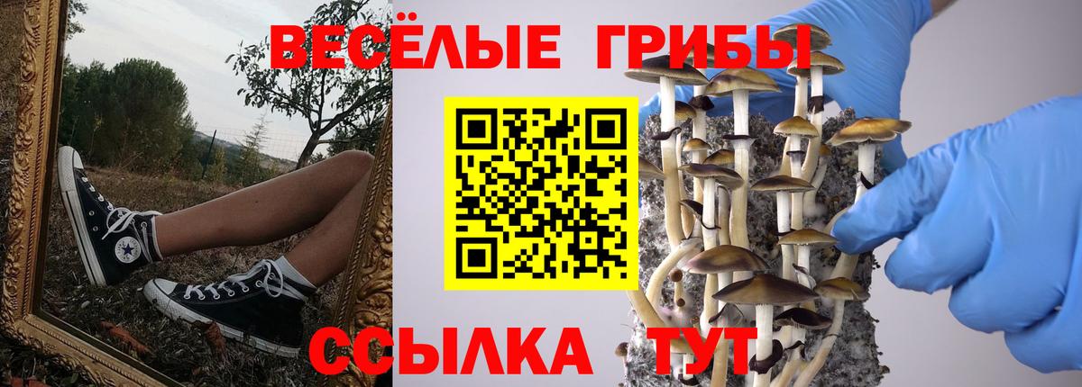 Псилоцибиновые грибы ЛСД Кашира