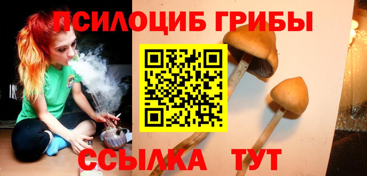 Псилоцибиновые грибы Cubensis  Вход с VPN  Кашира  Галлюциногенные грибы Psilocybe 